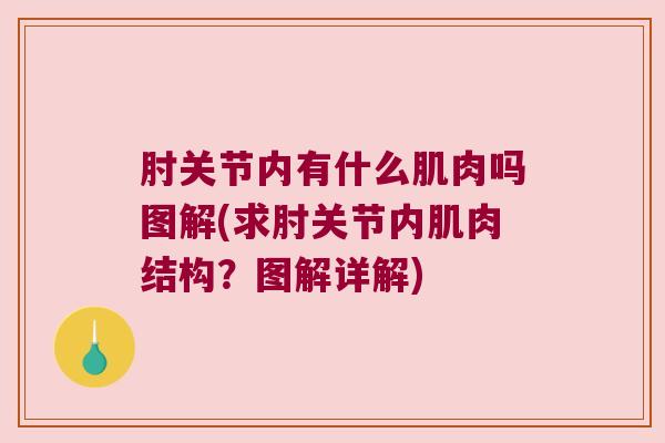 肘关节内有什么肌肉吗图解(求肘关节内肌肉结构?图解详解) 肘关节内有什么肌肉吗图解(求肘关节内肌肉结构?图解详解)