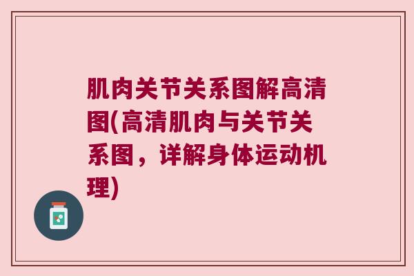 肌肉关节关系图解高清图(高清肌肉与关节关系图,详解身体运动机理)