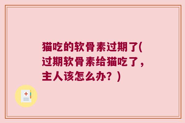 猫吃的软骨素过期了(过期软骨素给猫吃了,主人该怎么办?)