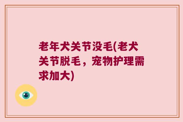 老年犬关节没毛(老犬关节脱毛,宠物护理需求加大)