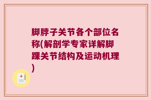 脚脖子关节各个部位名称(解剖学专家详解脚踝关节结构及运动机理)