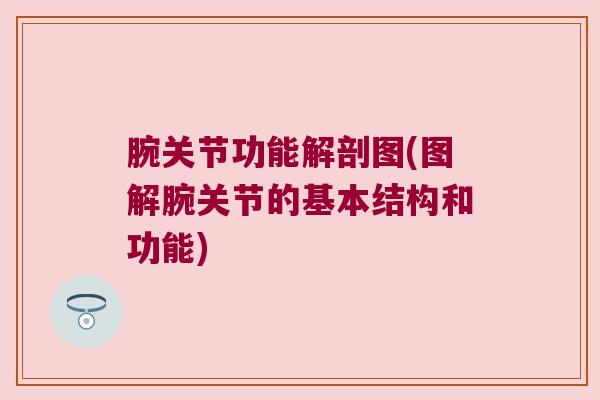 腕关节功能解剖图(图解腕关节的基本结构和功能)