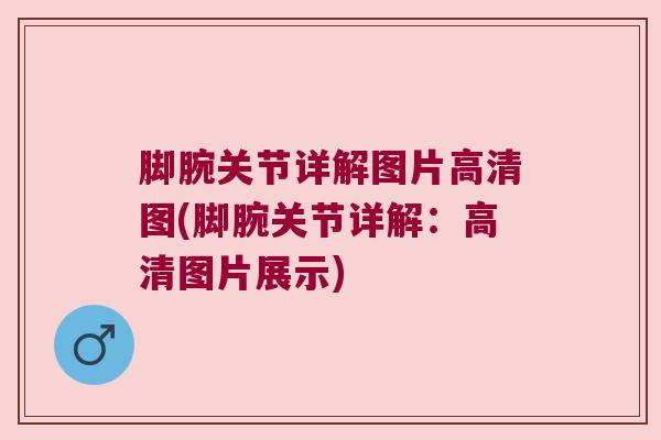 脚腕关节详解图片高清图(脚腕关节详解:高清图片展示)