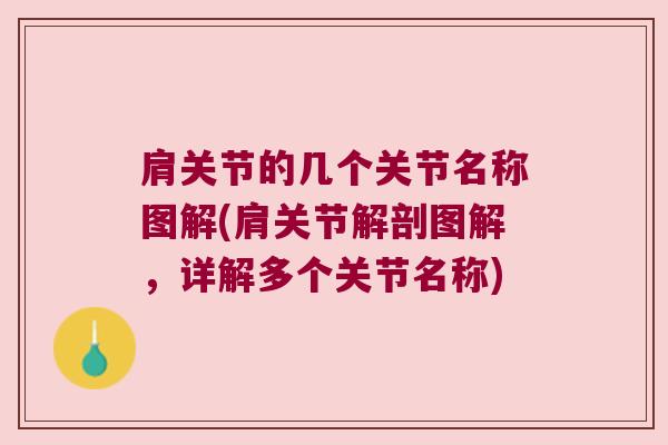 肩关节的几个关节名称图解(肩关节解剖图解,详解多个关节名称)