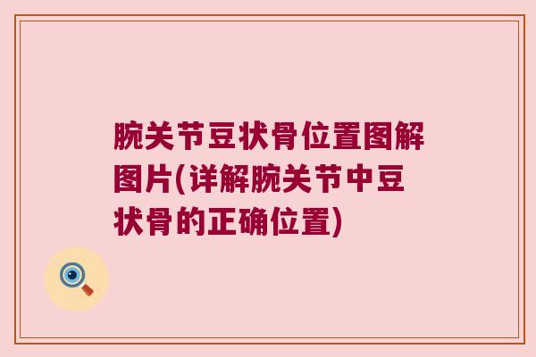 腕关节豆状骨位置图解图片(详解腕关节中豆状骨的正确位置) 腕关节豆状骨位置图解图片(详解腕关节中豆状骨的正确位置)