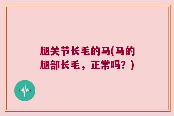 腿关节长毛的马(马的腿部长毛,正常吗?)