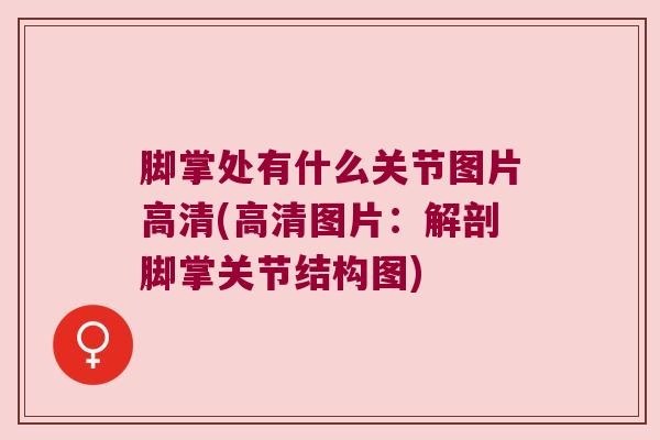 脚掌处有什么关节图片高清(高清图片:解剖脚掌关节结构图)