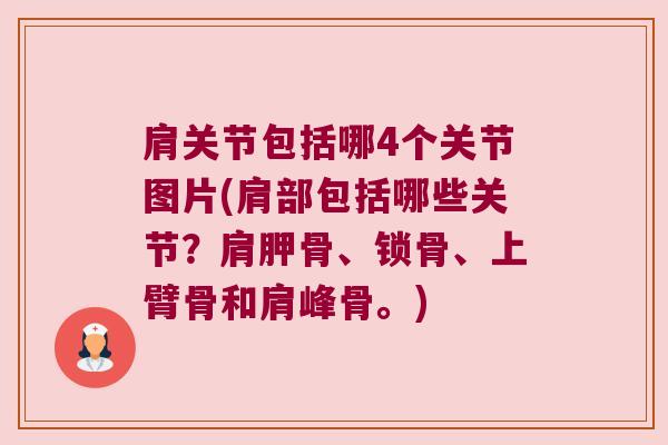 肩关节包括哪4个关节图片(肩部包括哪些关节?肩胛骨、锁骨、上臂骨和肩峰骨。)