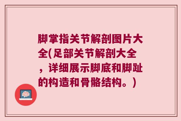 脚掌指关节解剖图片大全(足部关节解剖大全,详细展示脚底和脚趾的构造和骨骼结构。)