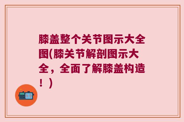膝盖整个关节图示大全图(膝关节解剖图示大全,全面了解膝盖构造!)