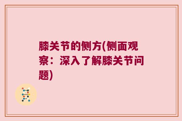 膝关节的侧方(侧面观察:深入了解膝关节问题) 膝关节的侧方(侧面观察:深入了解膝关节问题)