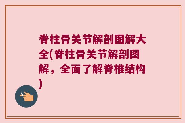 脊柱骨关节解剖图解大全(脊柱骨关节解剖图解，全面了解脊椎结构)