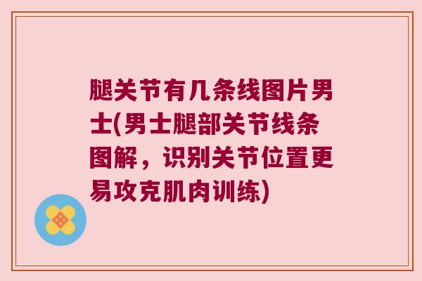 腿关节有几条线图片男士(男士腿部关节线条图解,识别关节位置更易攻克肌肉训练)