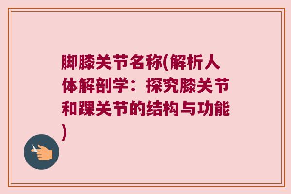 脚膝关节名称(解析人体解剖学:探究膝关节和踝关节的结构与功能)