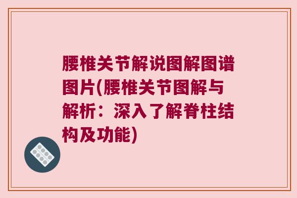 腰椎关节解说图解图谱图片(腰椎关节图解与解析:深入了解脊柱结构及功能)