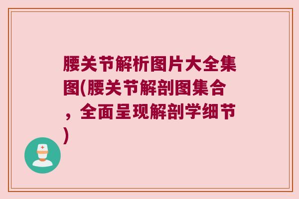 腰关节解析图片大全集图(腰关节解剖图集合,全面呈现解剖学细节)