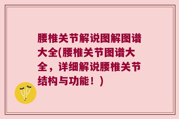 腰椎关节解说图解图谱大全(腰椎关节图谱大全,详细解说腰椎关节结构与功能!) 腰椎关节解说图解图谱大全(腰椎关节图谱大全,详细解说腰椎关节结构与功能!)