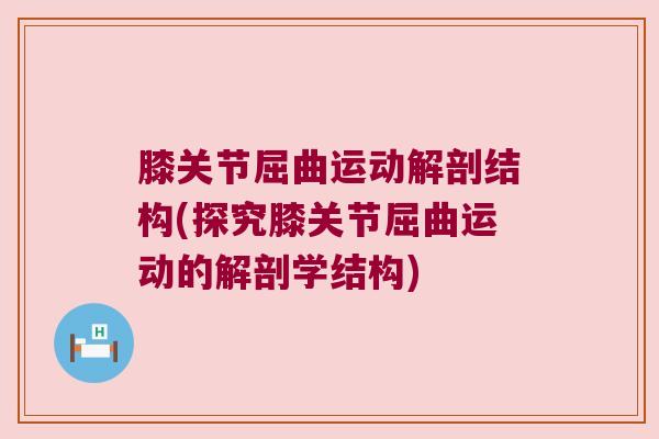 膝关节屈曲运动解剖结构(探究膝关节屈曲运动的解剖学结构)