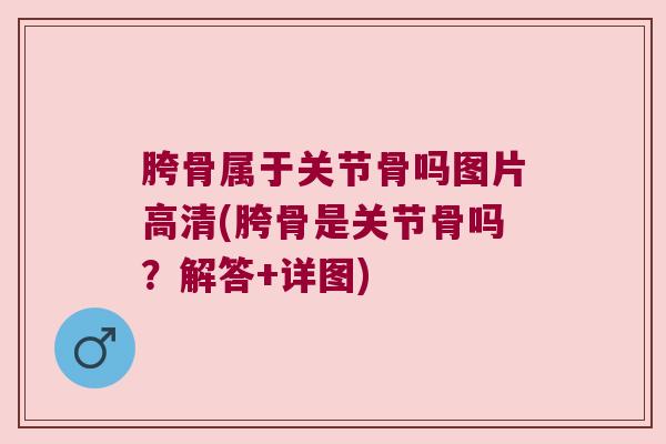 胯骨属于关节骨吗图片高清(胯骨是关节骨吗?解答+详图)