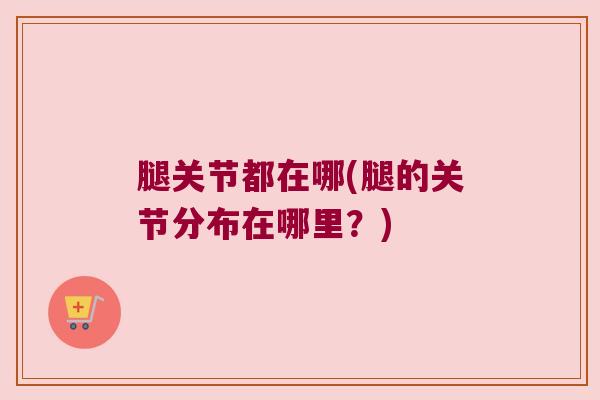 腿关节都在哪(腿的关节分布在哪里?)