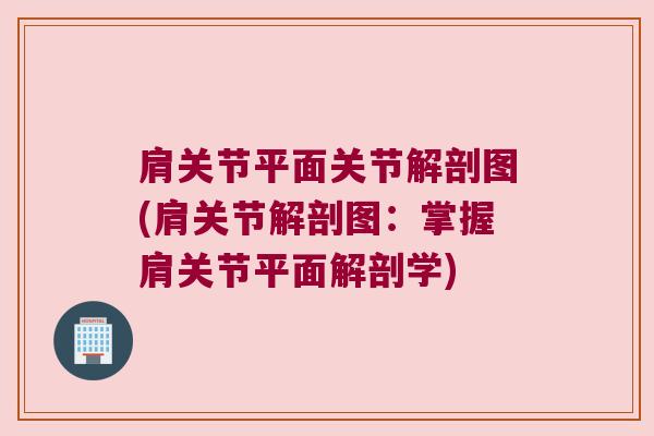 肩关节平面关节解剖图(肩关节解剖图:掌握肩关节平面解剖学) 肩关节平面关节解剖图(肩关节解剖图:掌握肩关节平面解剖学)