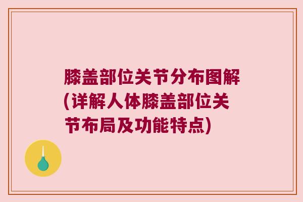 膝盖部位关节分布图解(详解人体膝盖部位关节布局及功能特点)