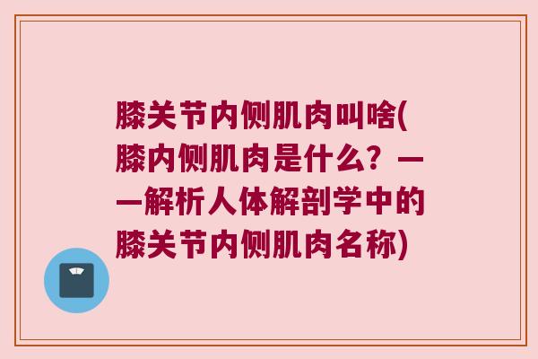 膝关节内侧肌肉叫啥(膝内侧肌肉是什么?——解析人体解剖学中的膝关节内侧肌肉名称)