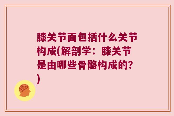 膝关节面包括什么关节构成(解剖学:膝关节是由哪些骨骼构成的?)