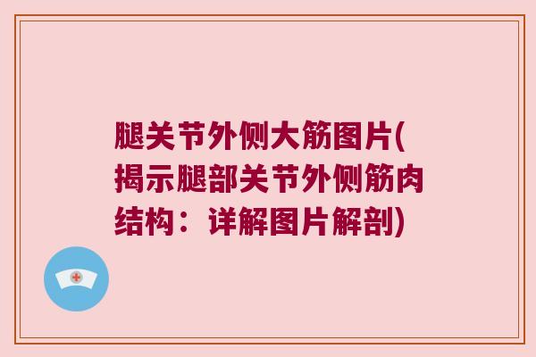 腿关节外侧大筋图片(揭示腿部关节外侧筋肉结构:详解图片解剖)