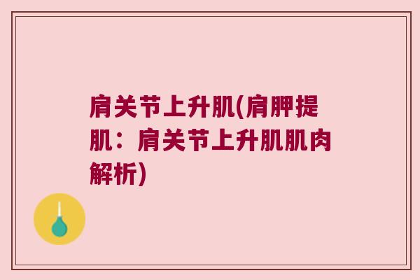 肩关节上升肌(肩胛提肌:肩关节上升肌肌肉解析)