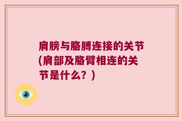 肩膀与胳膊连接的关节(肩部及胳臂相连的关节是什么?)