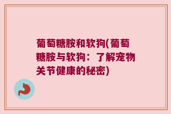 葡萄糖胺和软狗(葡萄糖胺与软狗:了解宠物关节健康的秘密)