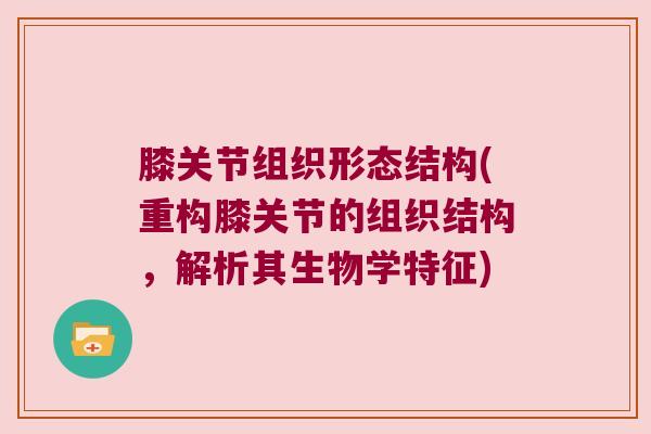 膝关节组织形态结构(重构膝关节的组织结构,解析其生物学特征)