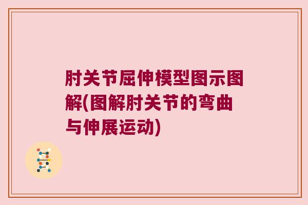 肘关节屈伸模型图示图解(图解肘关节的弯曲与伸展运动)