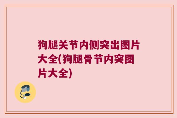 狗腿关节内侧突出图片大全(狗腿骨节内突图片大全)