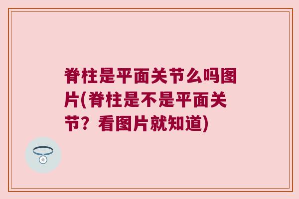 脊柱是平面关节么吗图片(脊柱是不是平面关节?看图片就知道)