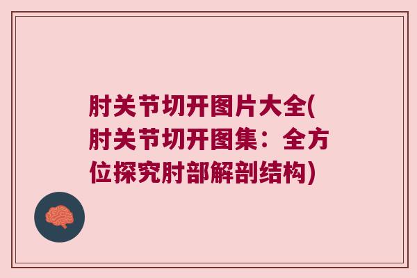 肘关节切开图片大全(肘关节切开图集：全方位探究肘部解剖结构)