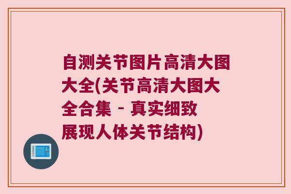 自测关节图片高清大图大全(关节高清大图大全合集 - 真实细致展现人体关节结构)