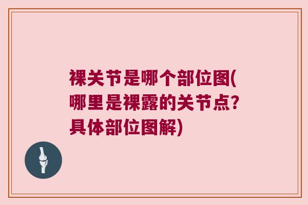 裸关节是哪个部位图(哪里是裸露的关节点?具体部位图解) 裸关节是哪个部位图(哪里是裸露的关节点?具体部位图解)