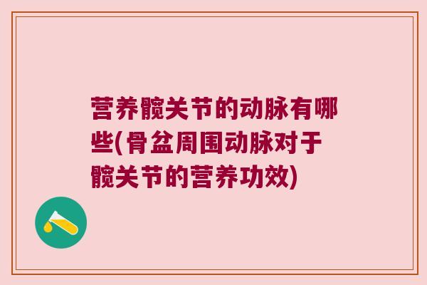 营养髋关节的动脉有哪些(骨盆周围动脉对于髋关节的营养功效)