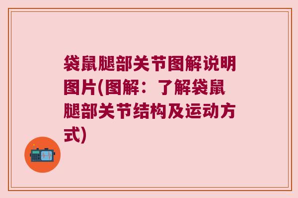 袋鼠腿部关节图解说明图片(图解:了解袋鼠腿部关节结构及运动方式)