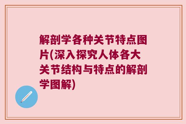 解剖学各种关节特点图片(深入探究人体各大关节结构与特点的解剖学图解)