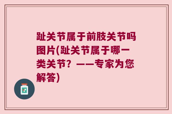 趾关节属于前肢关节吗图片(趾关节属于哪一类关节?——专家为您解答)