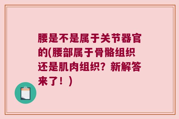腰是不是属于关节器官的(腰部属于骨骼组织还是肌肉组织？新解答来了！)