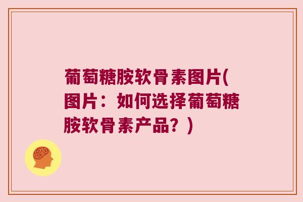 葡萄糖胺软骨素图片(图片:如何选择葡萄糖胺软骨素产品?) 葡萄糖胺软骨素图片(图片:如何选择葡萄糖胺软骨素产品?)