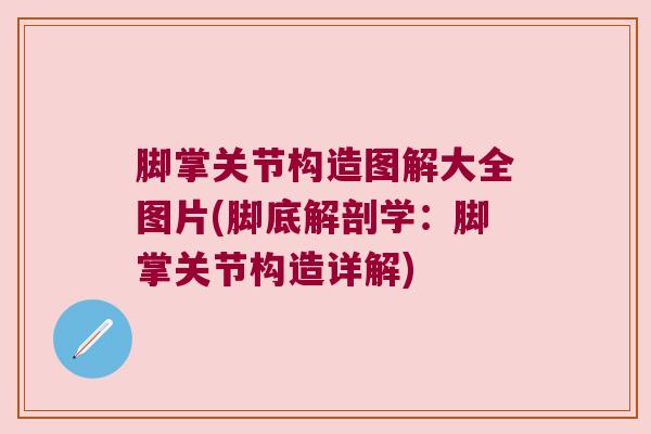 脚掌关节构造图解大全图片(脚底解剖学:脚掌关节构造详解)