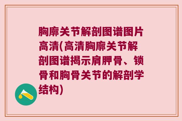 胸廓关节解剖图谱图片高清(高清胸廓关节解剖图谱揭示肩胛骨、锁骨和胸骨关节的解剖学结构)