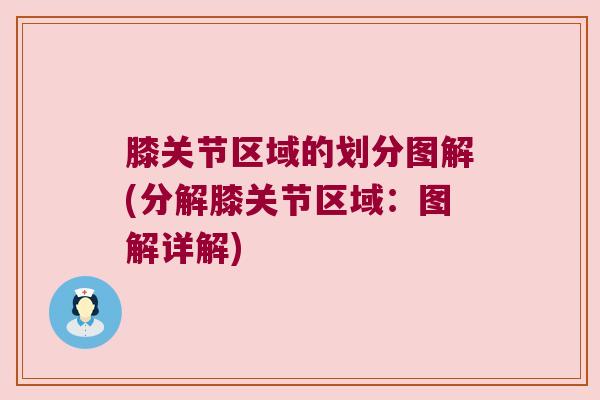 膝关节区域的划分图解(分解膝关节区域:图解详解)