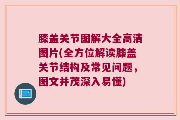 膝盖关节图解大全高清图片(全方位解读膝盖关节结构及常见问题,图文并茂深入易懂)