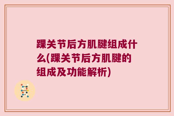 踝关节后方肌腱组成什么(踝关节后方肌腱的组成及功能解析)